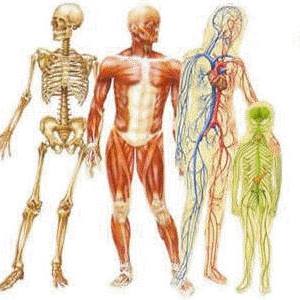 Osteopatia